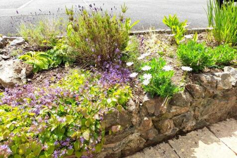 Flower Bed