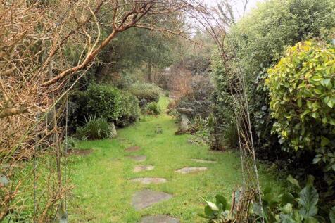 Garden (previous photo)