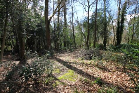 woodland