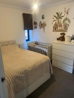 Picture1