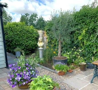 garden.jpeg