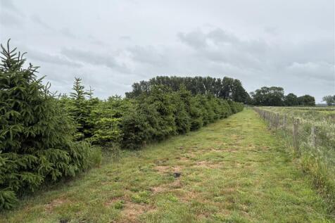 IMG_9670.JPG