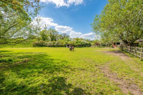 Adjoining Paddock