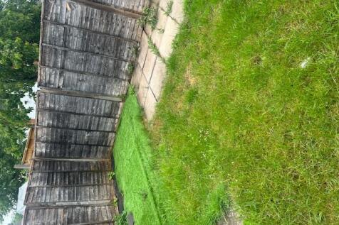 garden..jpg