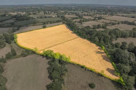 LOT B