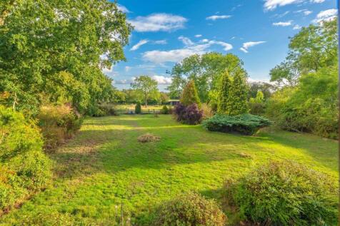 rear garden.jpg