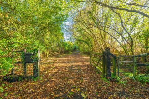 driveway 1.jpg