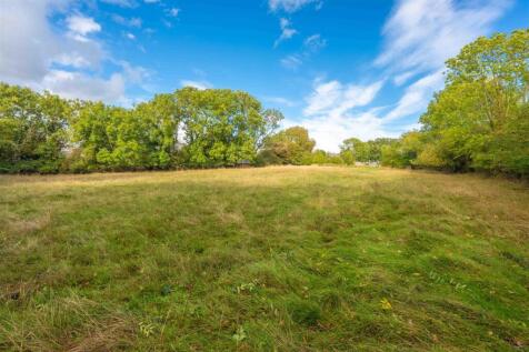 back field.jpg