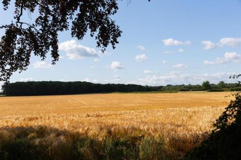 Countryside Views