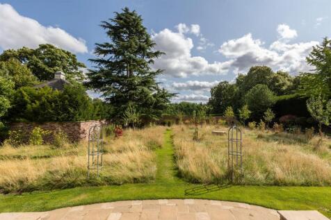Front Garden - Wildflower Meadow