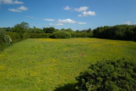 Field