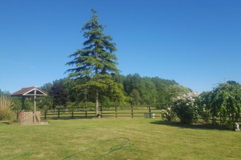 Front Garden (summer 2023)