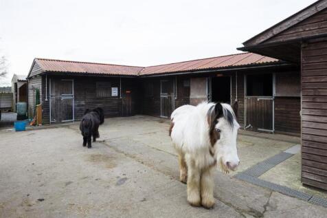 Stables