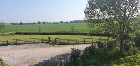 Smaller paddock (summer 2023)