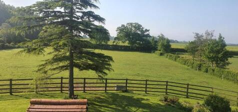 Large front paddock (summer 2023)