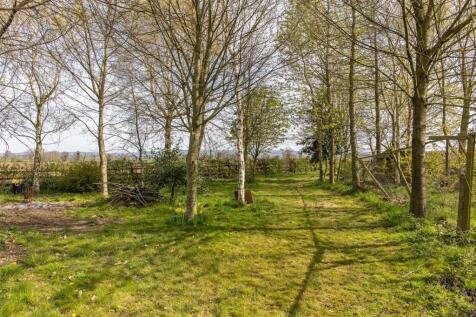 Gardens - copse