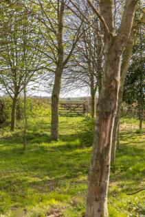 Gardens - copse