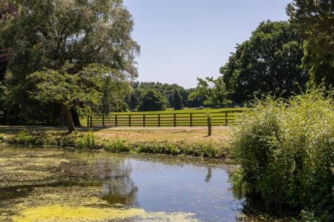 Pond