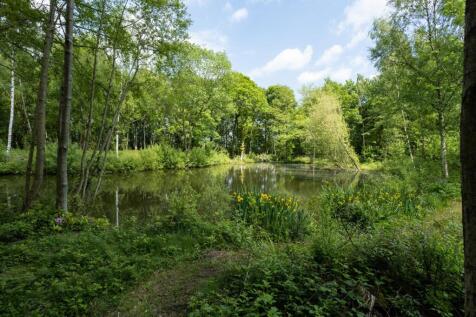 Great Wood Eco Lodges
