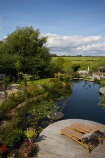 Natural swimming pool and view