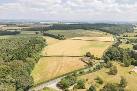 Thornton Hill