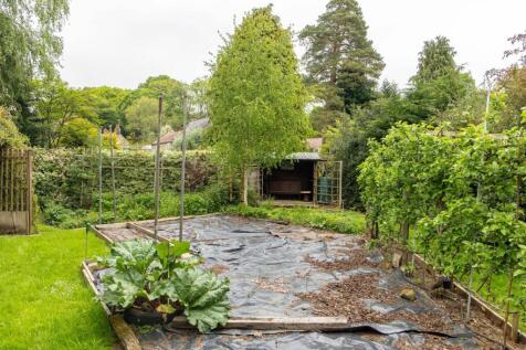 Vegetable Garden