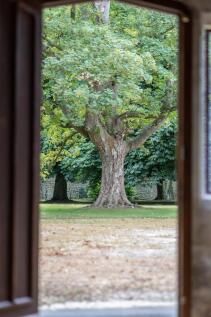 Parkland Grounds