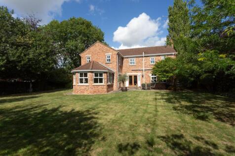 Rear Elevation &amp; Garden