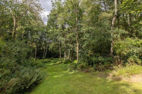 Garden &amp; Woodland