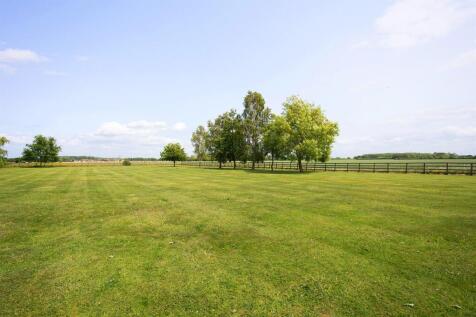 Paddock
