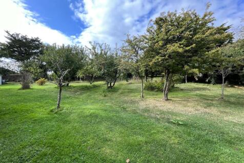 Orchard