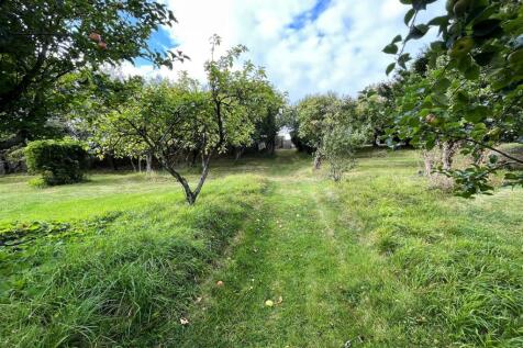 Orchard