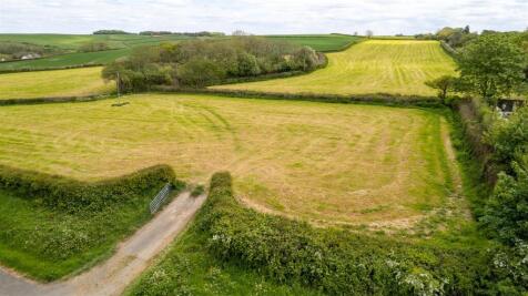 DJI_0803.jpg