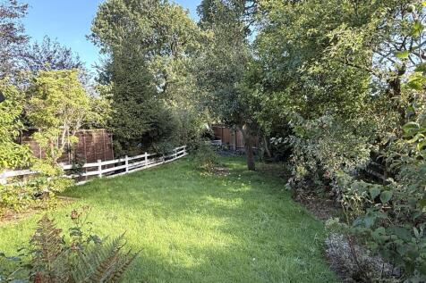 garden.JPG