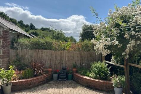 garden1.jpg