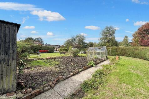Garden 3.jpg