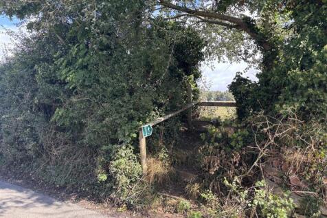 Footpath.jpg