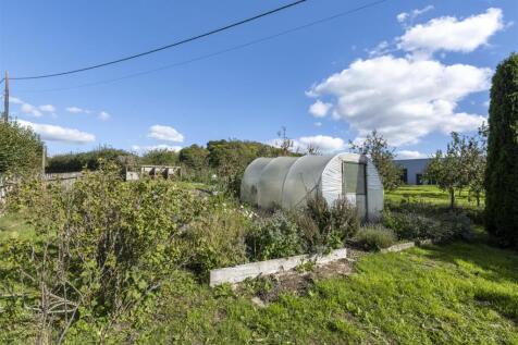 Veg garden.jpg