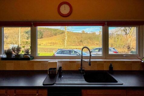 View From Kitchen Window