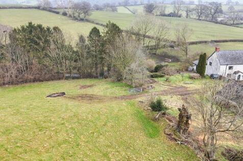 The Paddocks