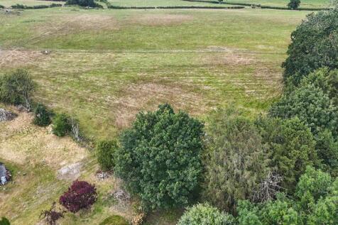 The Paddocks