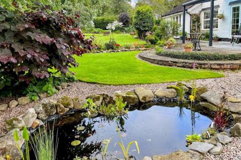 Rear Gardens