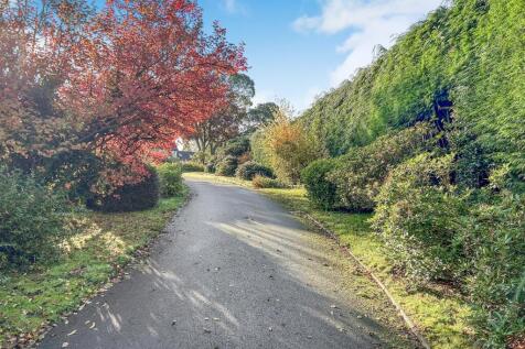 Driveway &amp; Front Gardens