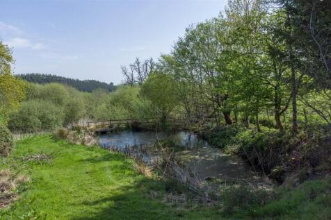 DJI_0875.jpg
