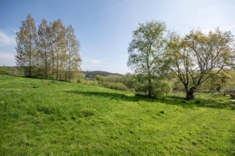The Land Additional Photograph