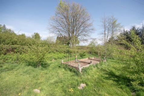 Vegetable Garden