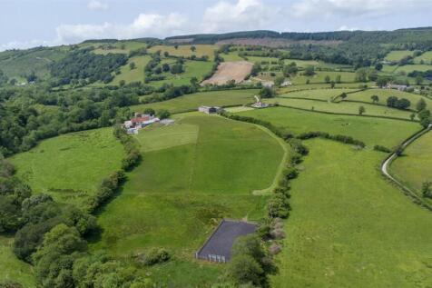 The Paddocks