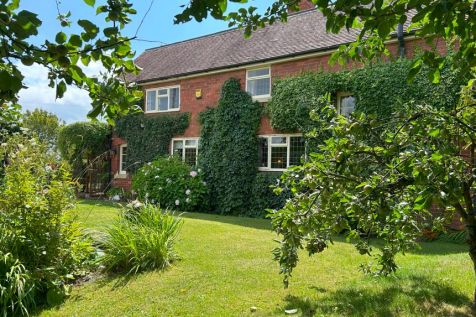 The Front Garden