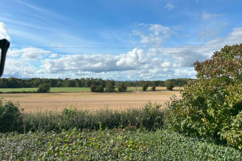 View from the Bathroom Window