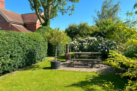 Beautiful Roses in the Hidden garden